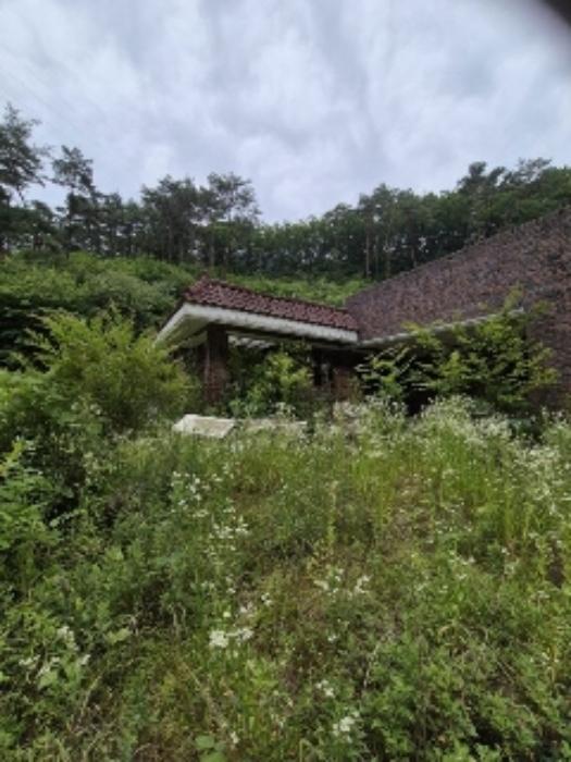 전라남도 담양군 용면 월계리 149-13 상가 경매 사진 41