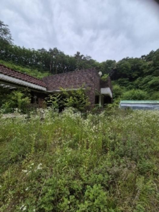 전라남도 담양군 용면 월계리 149-13 상가 경매 사진 42