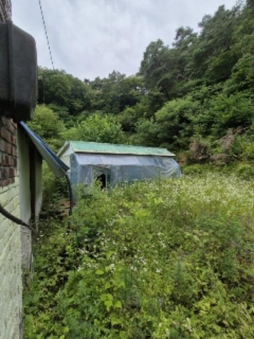전라남도 담양군 용면 월계리 149-13 상가 경매 사진 50