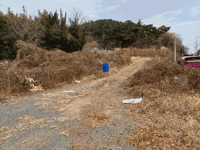 경상북도 구미시 고아읍 문성리 60 답 경매 사진 2