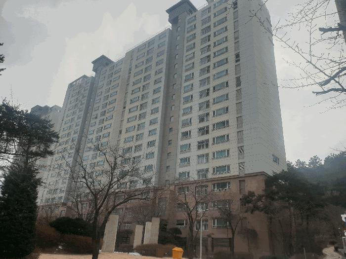 경기도 용인시 수지구 성복동 767 버들치마을 성복자이2차 207동 1층103호 아파트 경매 사진 2