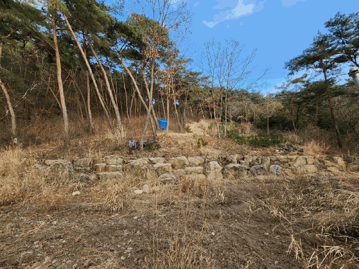 전라남도 장성군 장성읍 용곡리 산63 임야 경매 사진 1