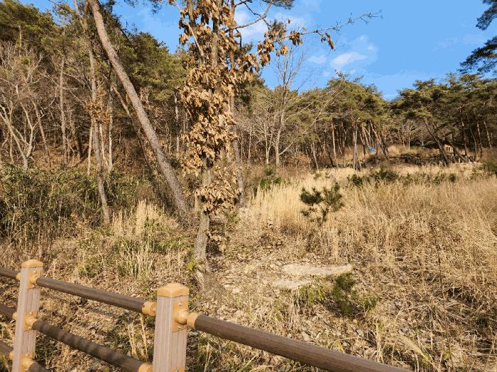 전라남도 장성군 장성읍 용곡리 산63 임야 경매 사진 4