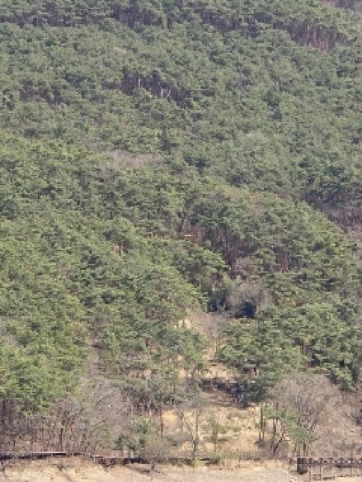 전라남도 장성군 장성읍 용곡리 산63 임야 경매 사진 5