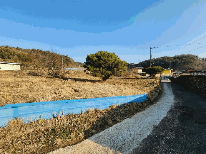 전라남도 나주시 문평면 오룡리 76 대지 경매 사진 2