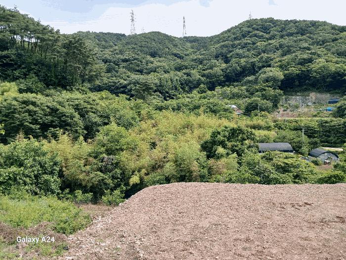 전라남도 담양군 용면 용치리 321-8 답 경매 사진 2