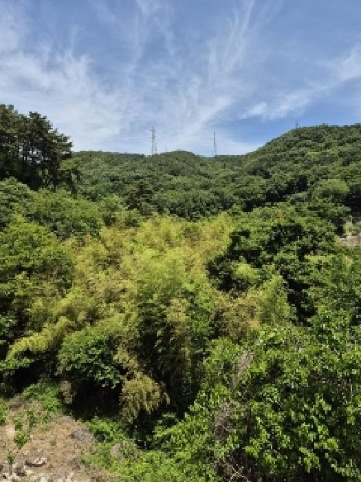 전라남도 담양군 용면 용치리 321-8 답 경매 사진 5