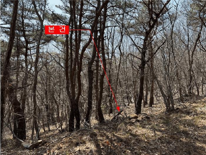 인천광역시 옹진군 영흥면 내리 산428-2 임야 경매 사진 3