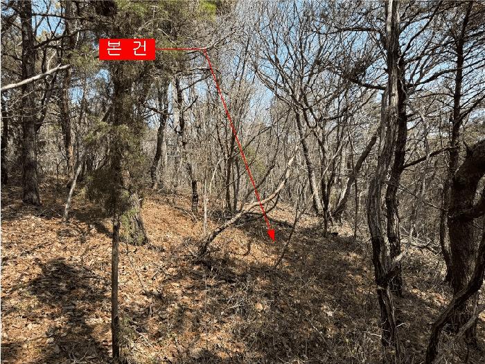 인천광역시 옹진군 영흥면 내리 산428-2 임야 경매 사진 5