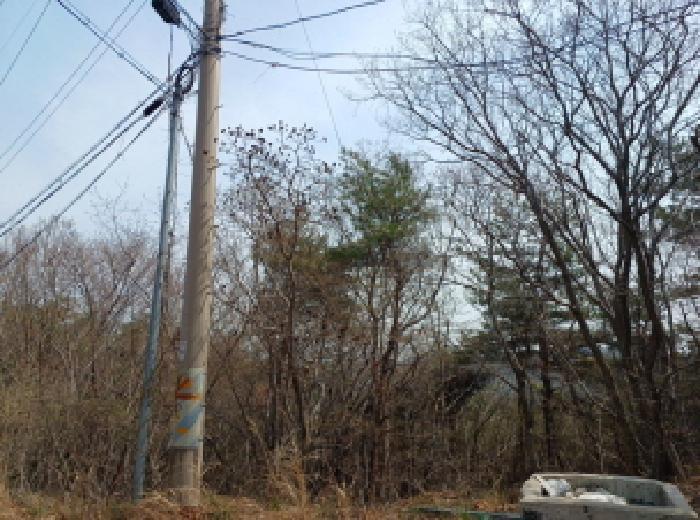 인천광역시 옹진군 영흥면 내리 산428-2 임야 경매 사진 8