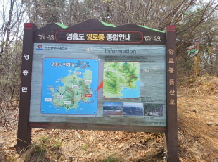 인천광역시 옹진군 영흥면 내리 산428-2 임야 경매 사진 9