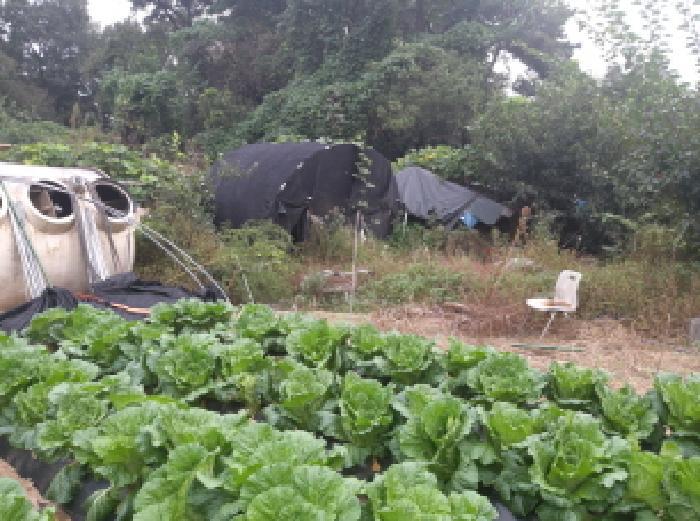 경기도 안성시 고삼면 봉산리 338-2 전 경매 사진 19