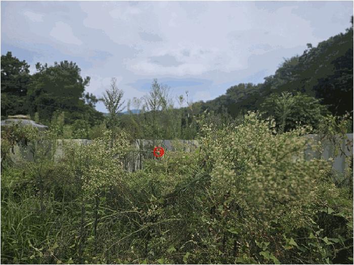 경기도 안성시 고삼면 봉산리 338-2 전 경매 사진 3