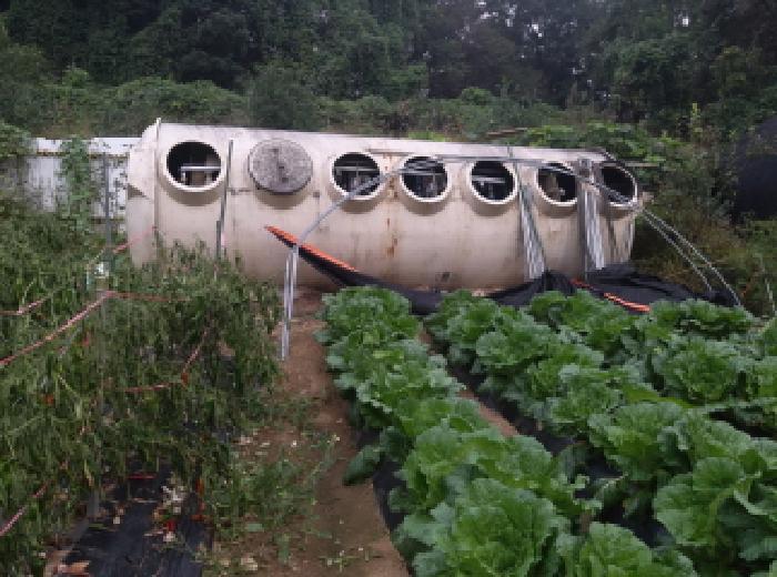 경기도 안성시 고삼면 봉산리 338-2 전 경매 사진 8