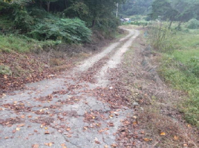 경기도 안성시 고삼면 봉산리 338-2 전 경매 사진 9