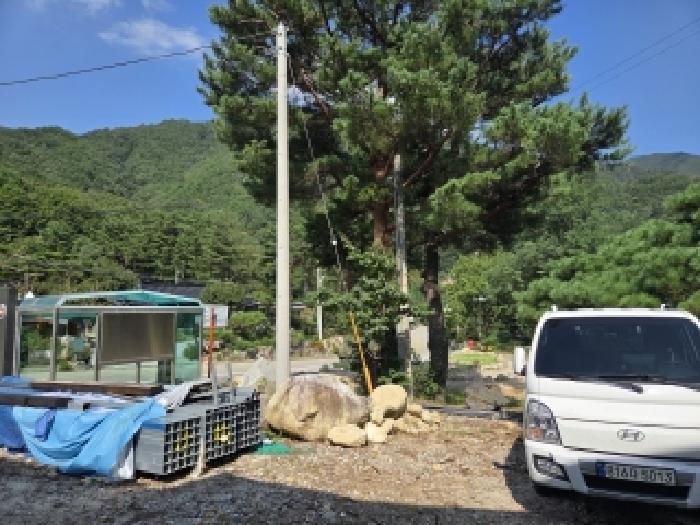 강원특별자치도 강릉시 연곡면 삼산리 1029-9 전 경매 사진 7