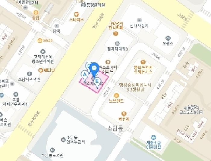 세종특별자치시 소담동 576 펠리체타워2 7층717호 도시형생활주택 경매 사진 18