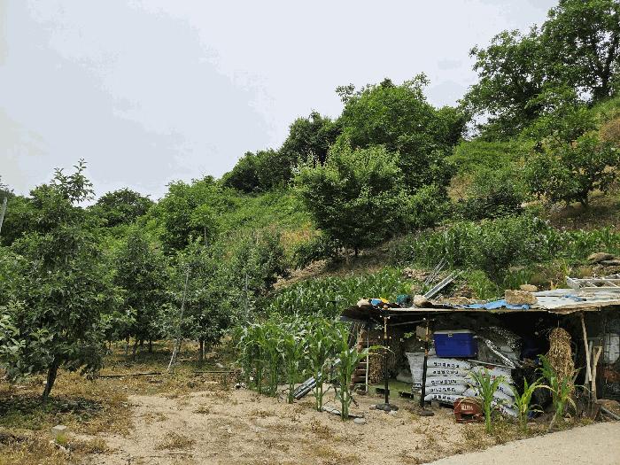 경상북도 영주시 봉현면 두산리 947 주택 경매 사진 4