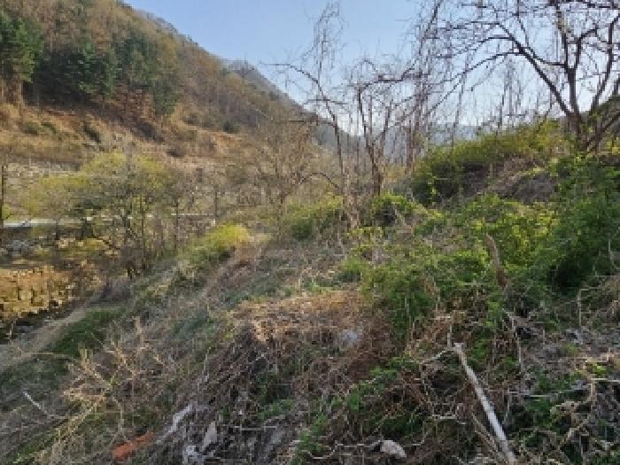 경상북도 영주시 봉현면 두산리 947 주택 경매 사진 8