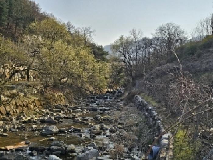 경상북도 영주시 봉현면 두산리 947 주택 경매 사진 9