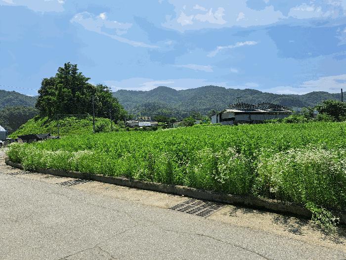 충청북도 충주시 주덕읍 신양리 695 전 경매 사진 10