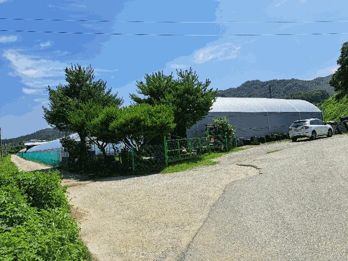 충청북도 충주시 주덕읍 신양리 695 전 경매 사진 16