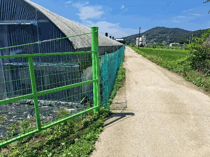 충청북도 충주시 주덕읍 신양리 695 전 경매 사진 19