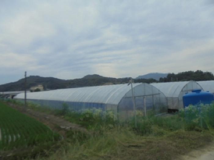 충청북도 충주시 주덕읍 신양리 695 전 경매 사진 49