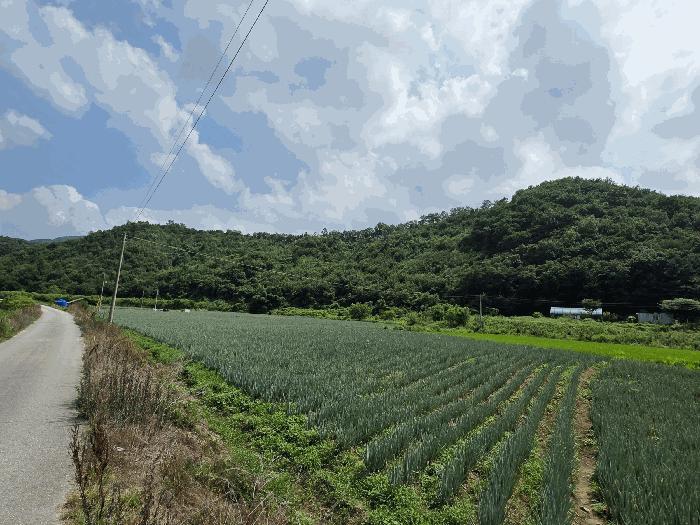 충청북도 음성군 임야