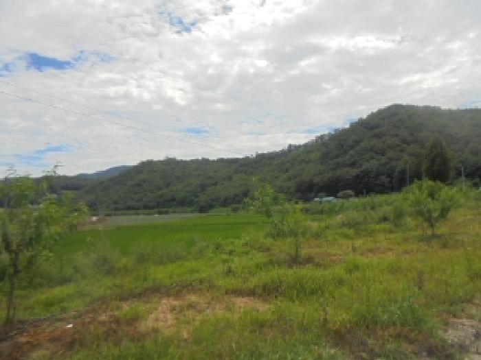 충청북도 음성군 감곡면 문촌리 산2-2 임야 경매 사진 3