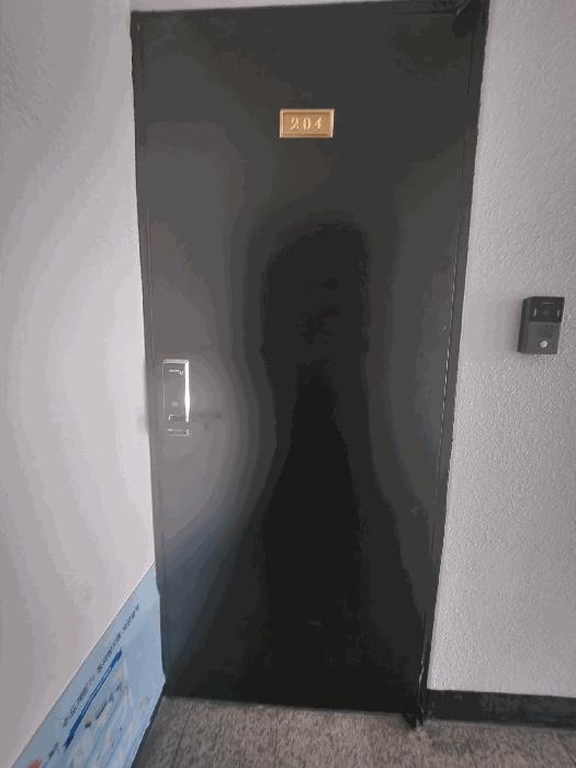 전북특별자치도 전주시 덕진구 진북동 834-81 2층204호 다세대(빌라) 경매 사진 3