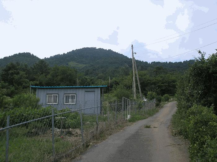 전라남도 고흥군 남양면 월정리 산38-1 임야 경매 사진 1