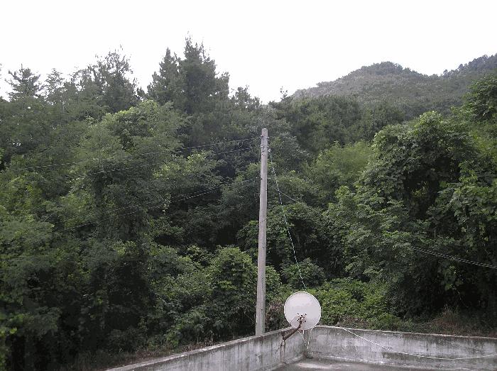 전라남도 고흥군 남양면 월정리 산39-1 임야 경매 사진 10