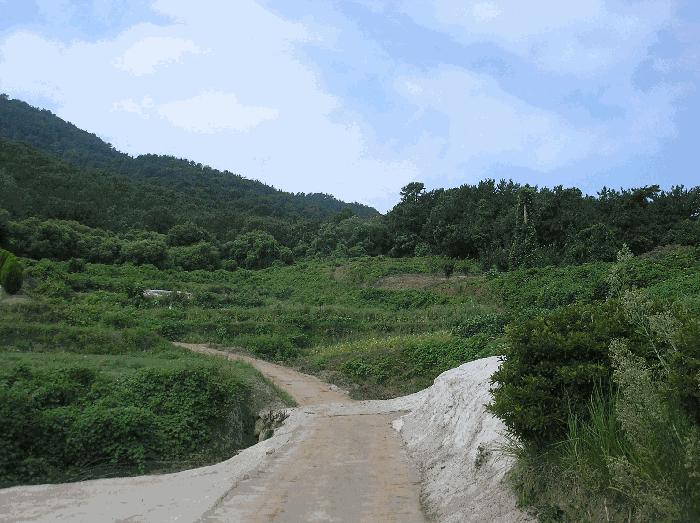 전라남도 고흥군 남양면 월정리 산39-1 임야 경매 사진 13