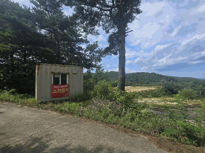 강원특별자치도 양양군 손양면 상왕도리 산41 임야 경매 사진 6