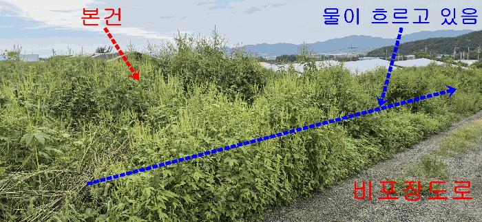강원특별자치도 철원군 동송읍 오지리 1105-7 전 경매 사진 8