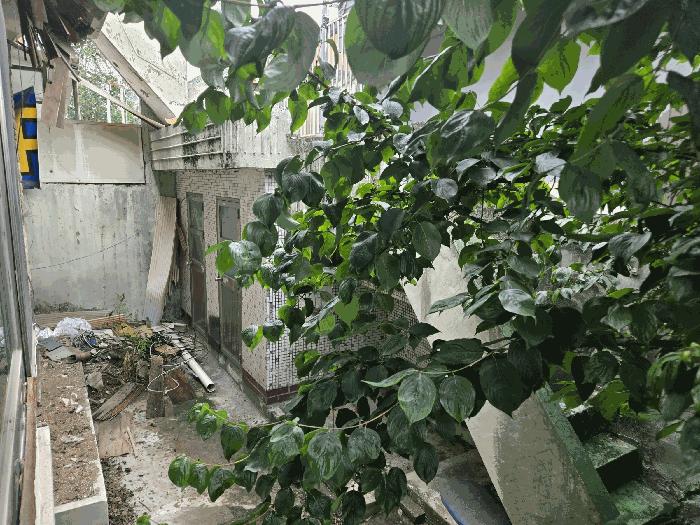 대구광역시 수성구 범어동 805-334 주택 경매 사진 2