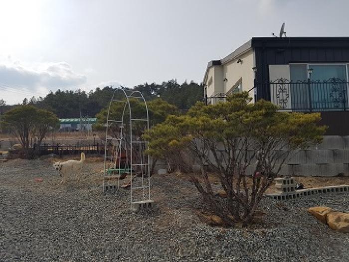 대구광역시 군위군 산성면 화본리 1118-7 전 경매 사진 12