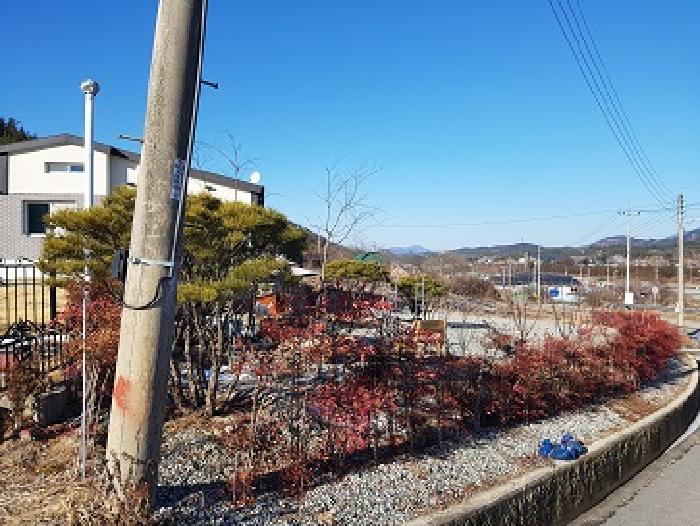 대구광역시 군위군 산성면 화본리 1118-7 전 경매 사진 9