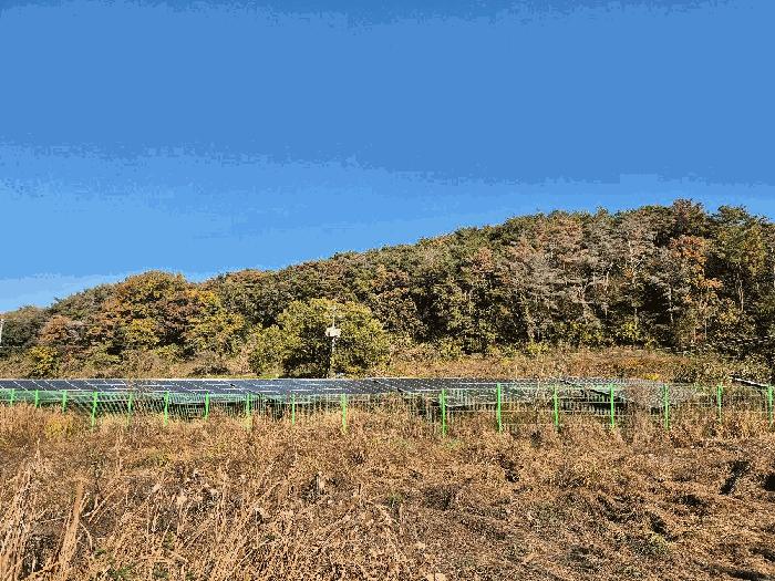 경상남도 함안군 법수면 백산리 516-1 답 경매 사진 3