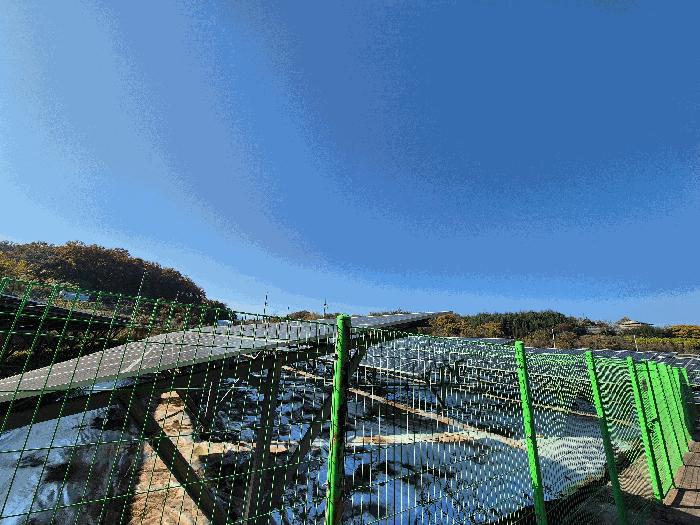 경상남도 함안군 법수면 백산리 516-1 답 경매 사진 5