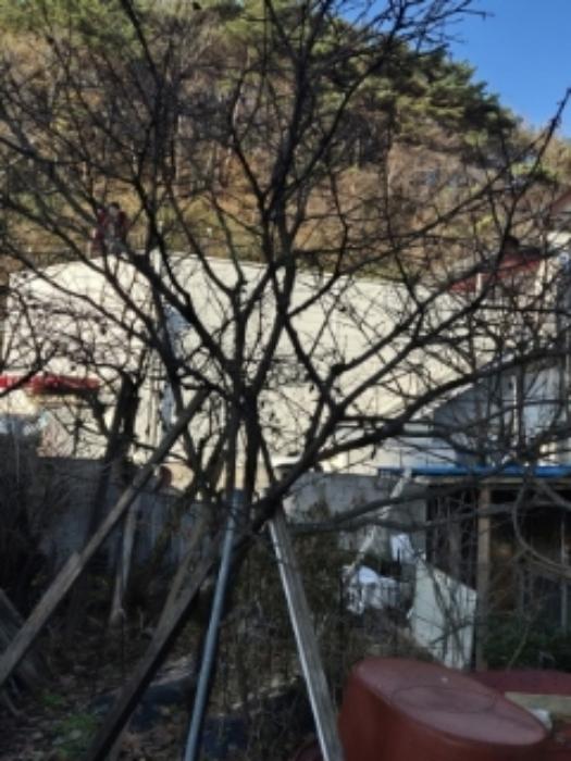광주광역시 동구 내남동 242 전 경매 사진 8