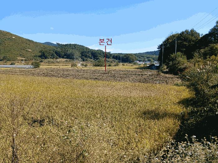 전라남도 담양군 월산면 월평리 570 주택 경매 사진 6