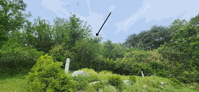 경상북도 울진군 온정면 소태리 1056 답 경매 사진 2