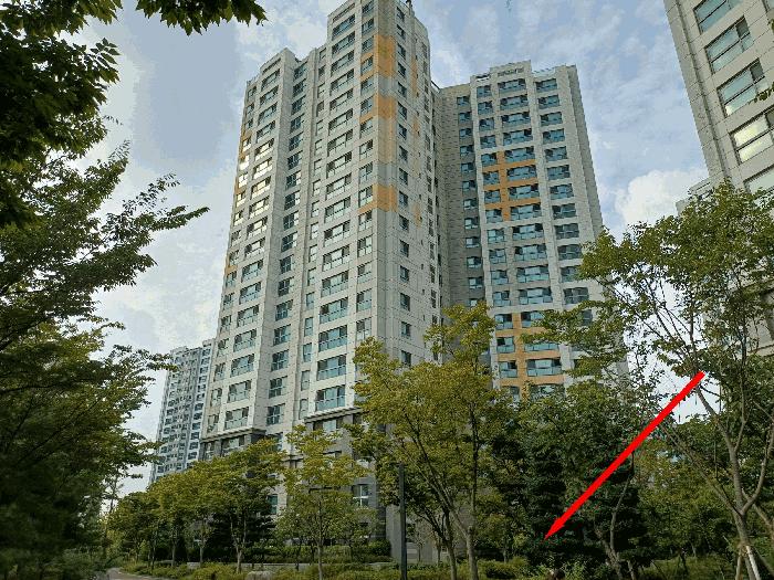 경기도 화성시 만세구 수노을1로 108, 307동 1층101호 (새솔동,송산신도시대방노블랜드더센트럴3차)구) 경기도 화성시 만세구 새솔동 13 아파트 경매 사진 1