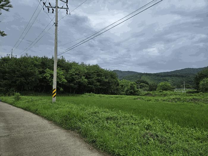 충청남도 논산시 연산면 백석리 191 전 경매 사진 1