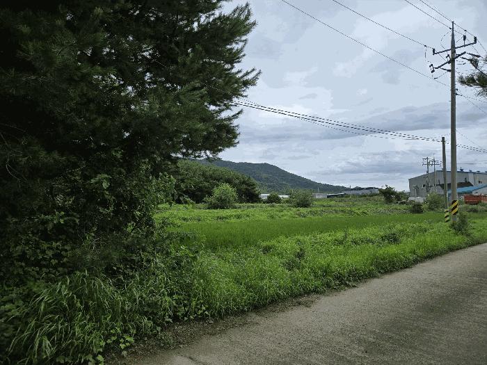충청남도 논산시 연산면 백석리 191 전 경매 사진 2