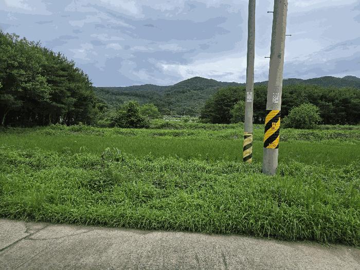 충청남도 논산시 연산면 백석리 191 전 경매 사진 3