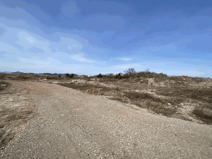 전라남도 영암군 삼호읍 난전리 2156-7 잡종지 경매 사진 8