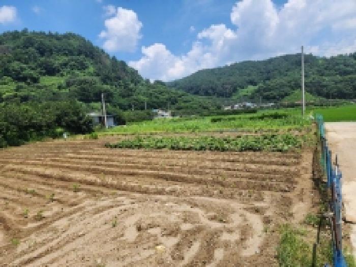 전라남도 광양시 진월면 신아리 210-1 답 경매 사진 12